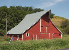 Dutch style barn, Whitman Co. - c.1930
